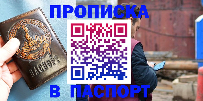прописка в Сольцах